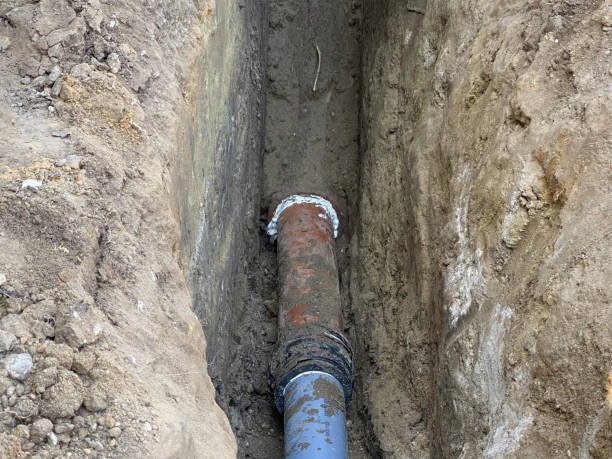 Best Basement water damage restoration  in Turtle Creek, PA