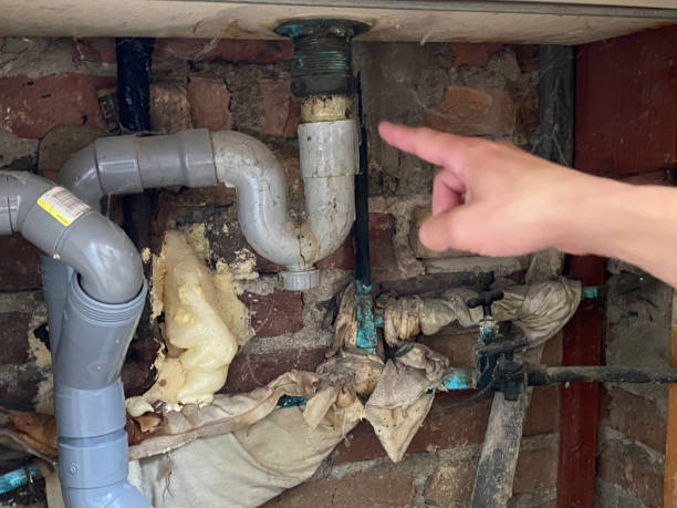 Best Commercial water damage restoration  in Turtle Creek, PA