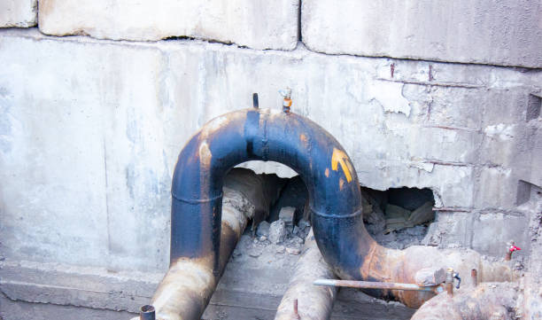 Best Water damage cleanup near me  in Turtle Creek, PA