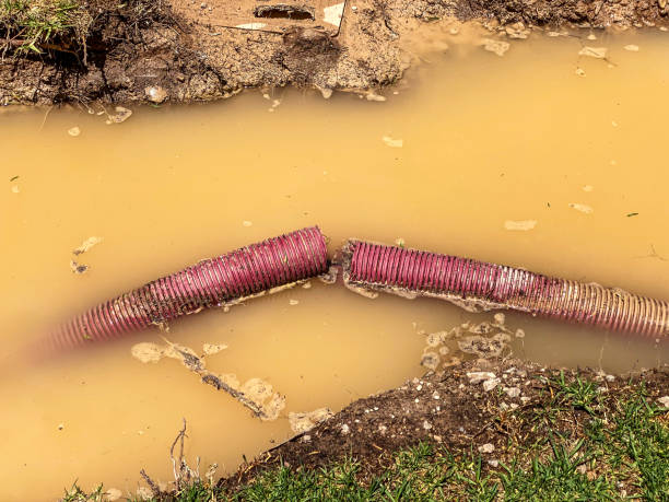 Best Residential water damage restoration  in Turtle Creek, PA